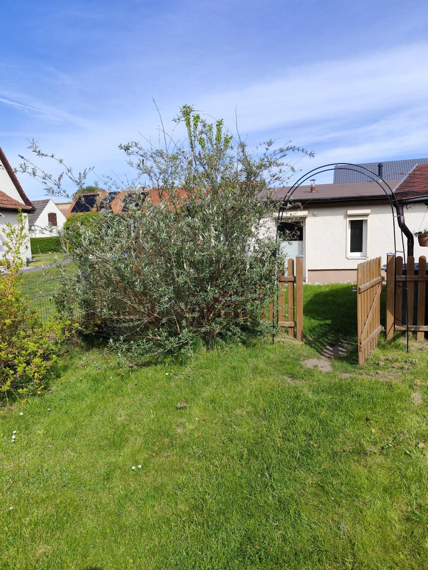 Ferienwohnung KreTa Ückeritz Exterior foto